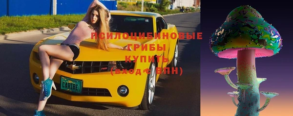 скорость Кукмор