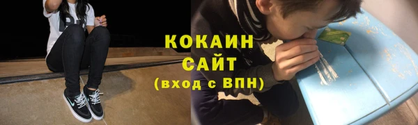 дживик Кулебаки