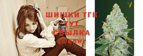 дживик Кулебаки